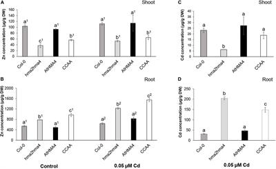 di-Cysteine Residues of the Arabidopsis thaliana HMA4 C-Terminus Are Only Partially Required for Cadmium Transport